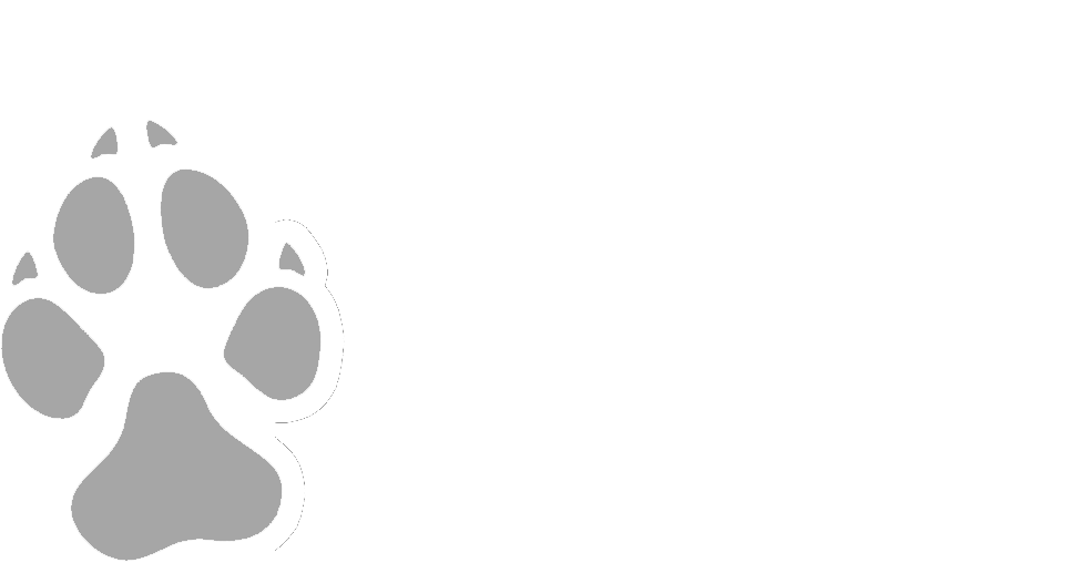 The K9 Pad